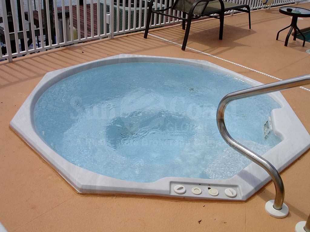 Palm Vista Hot Tub